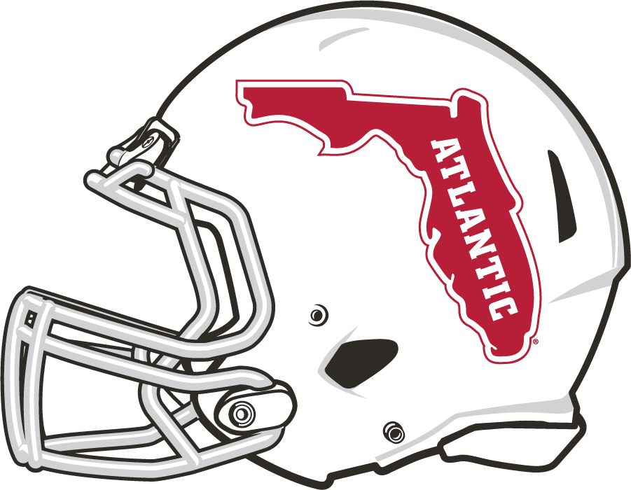 Florida Atlantic Owls 2017-Pres Helmet Logo v2 diy iron on heat transfer